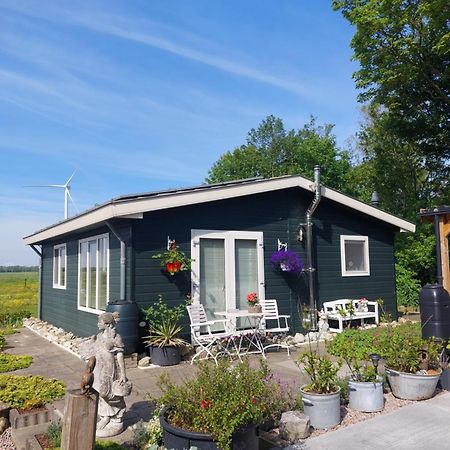 Am Treis Villa Wieringerwerf Bagian luar foto