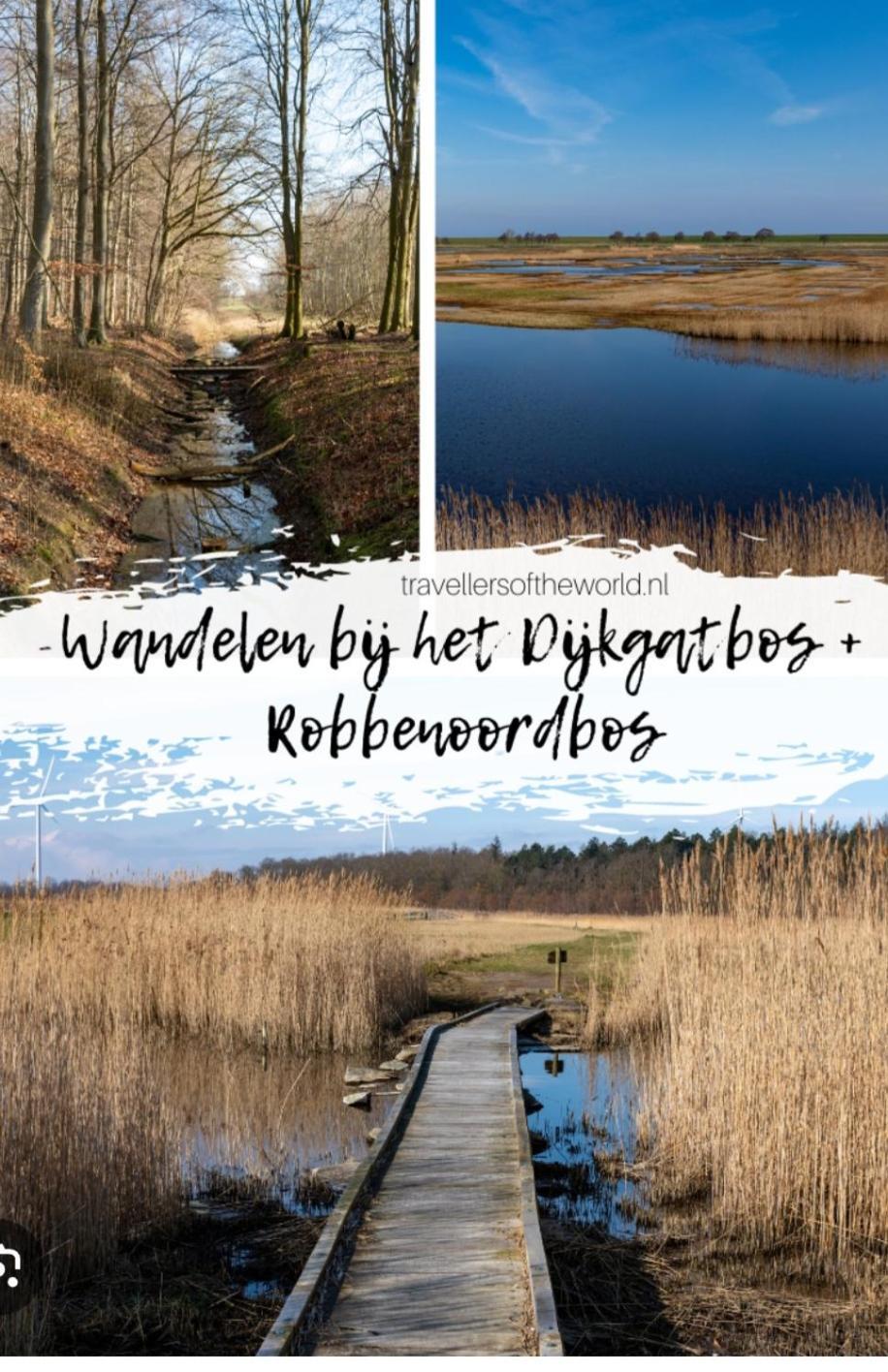 Am Treis Villa Wieringerwerf Bagian luar foto