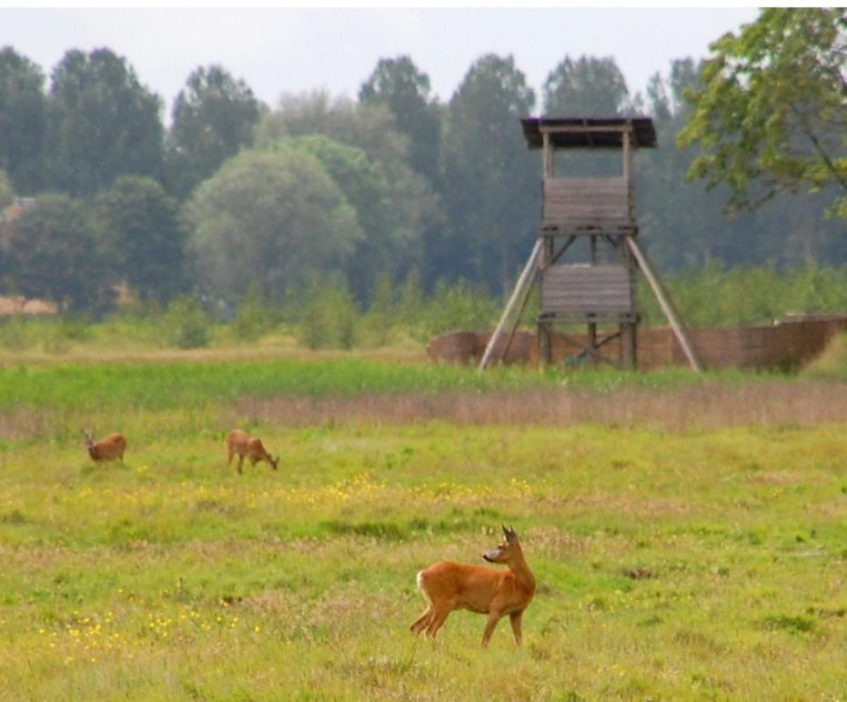 Am Treis Villa Wieringerwerf Bagian luar foto
